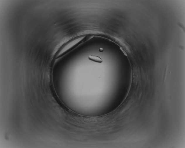 X0000091730015200709071511