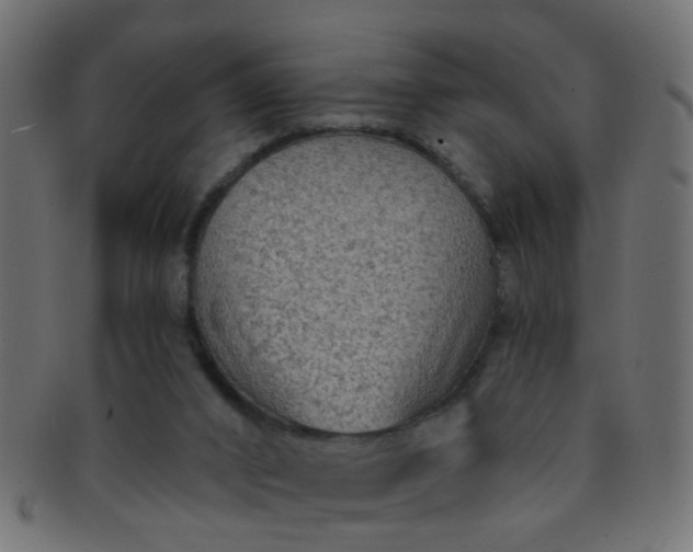 X0000091730016200709071511