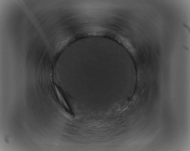 X0000091730017200709071511