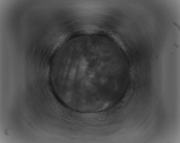 X0000091730018200709071511