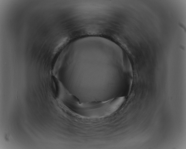 X0000091730019200709071511