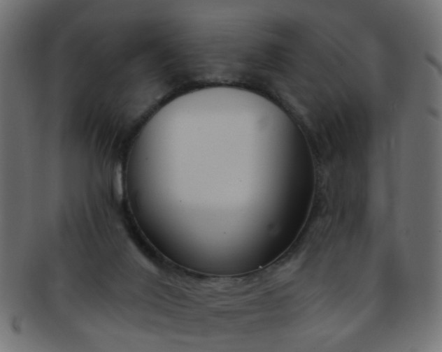 X0000091730020200709071511