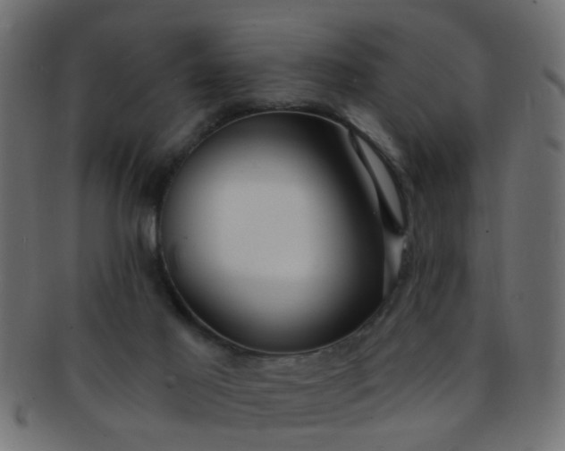 X0000091730021200709071511