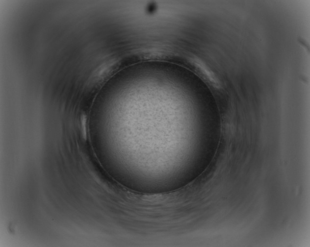 X0000091730022200709071511