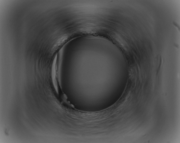 X0000091730023200709071511