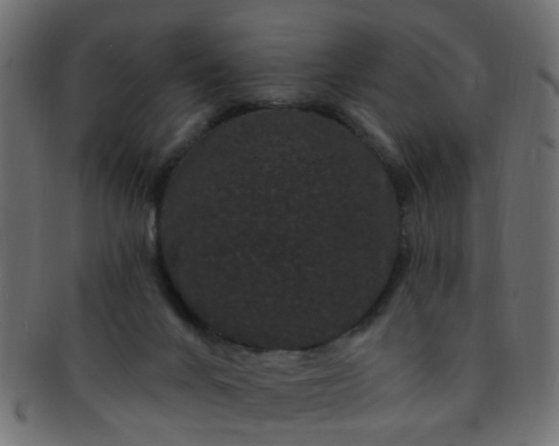 X0000091730024200709071511