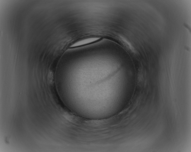 X0000091730025200709071511