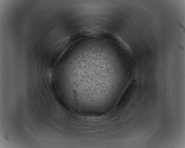 X0000091730026200709071511