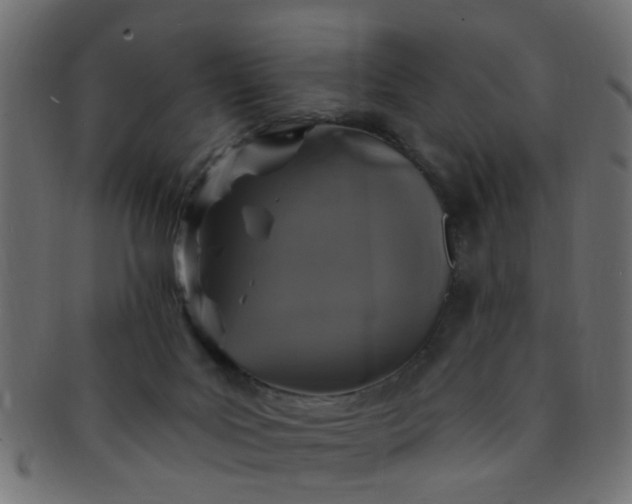 X0000091730027200709071510