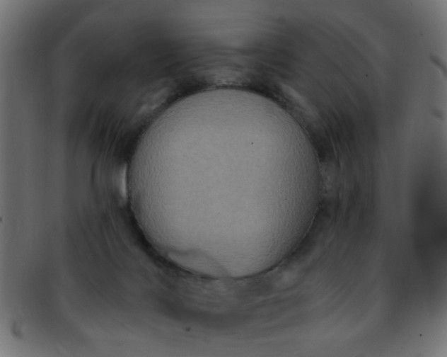 X0000091730028200709071510