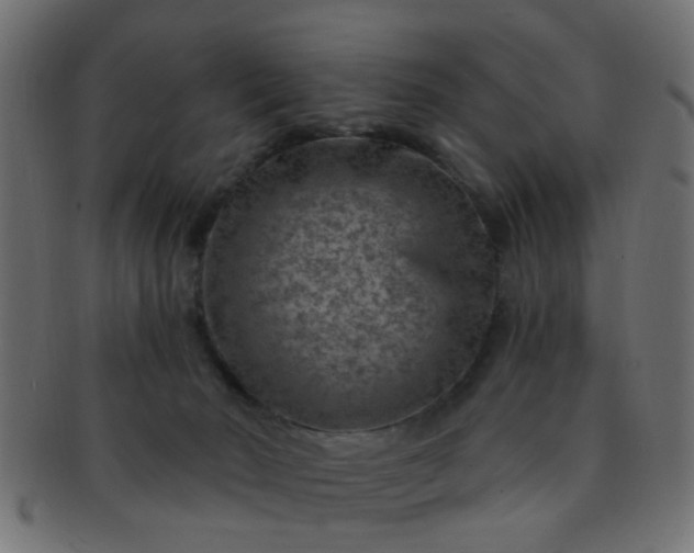 X0000091730030200709071510