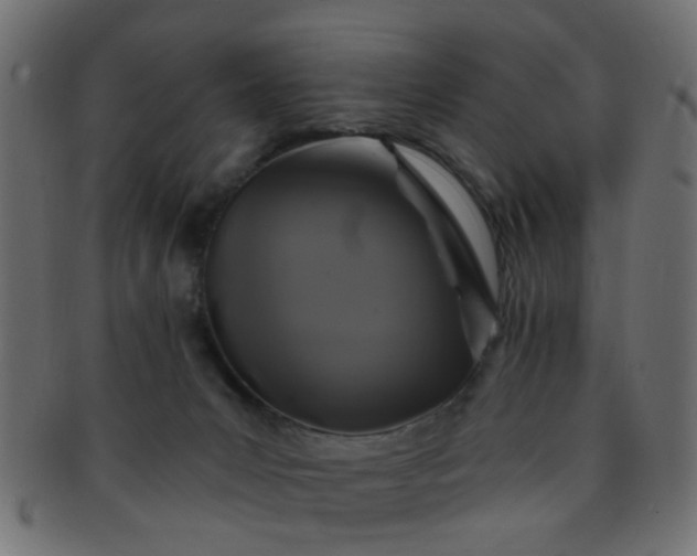 X0000091730031200709071510