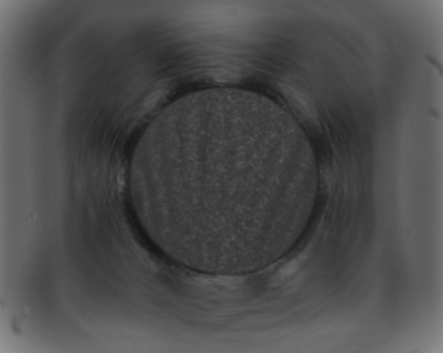 X0000091730032200709071510