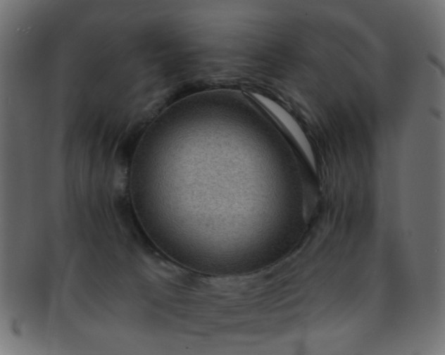 X0000091730033200709071510