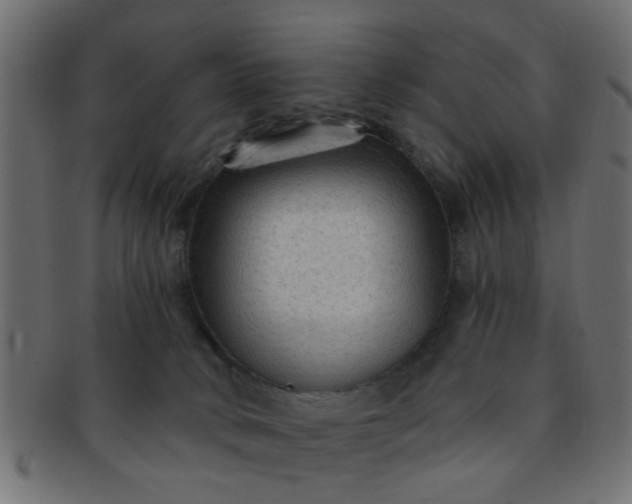 X0000091730034200709071510