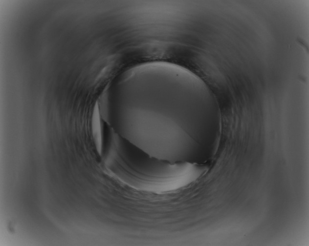 X0000091730035200709071510