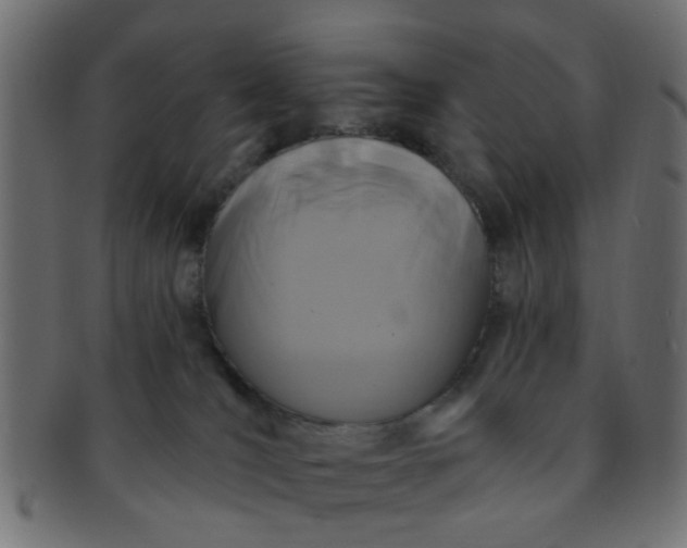 X0000091730036200709071510