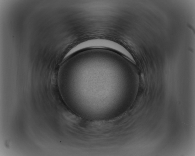 X0000091730037200709071510