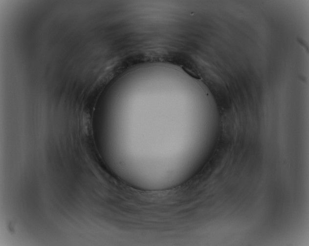 X0000091730038200709071510