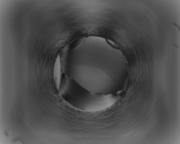 X0000091730039200709071510