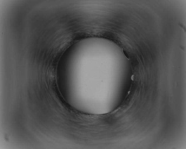 X0000091730040200709071510