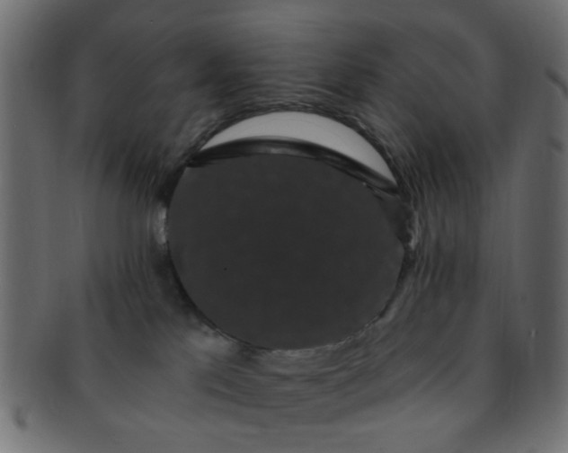 X0000091730041200709071510