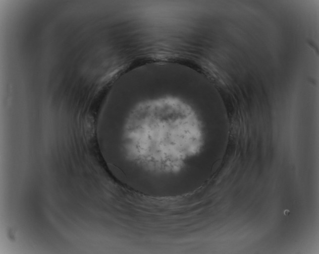 X0000091730043200709071510