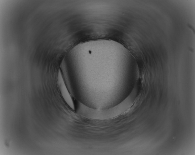 X0000091730045200709071510