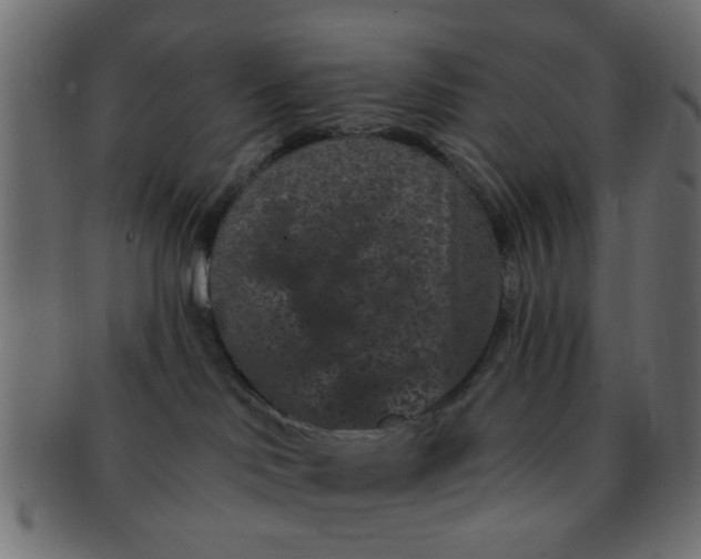 X0000091730046200709071510