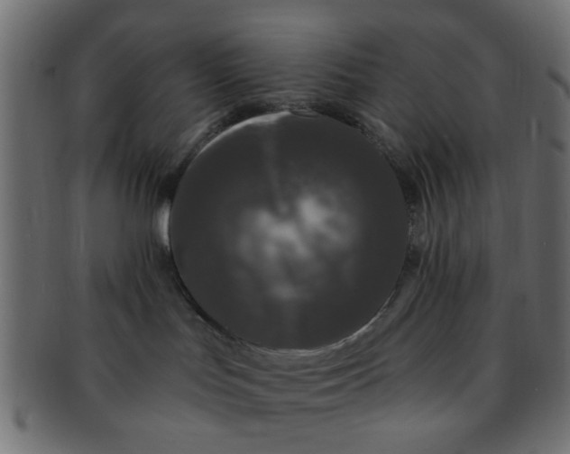 X0000091730047200709071510