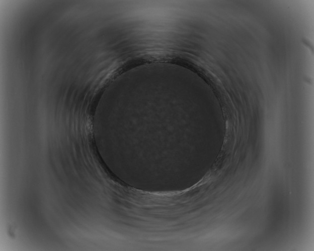 X0000091730048200709071510