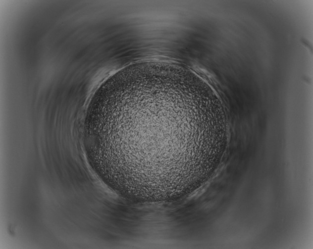 X0000091730049200709071509