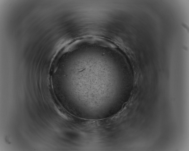 X0000091730050200709071509