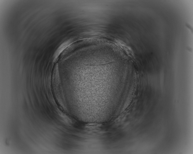 X0000091730051200709071509