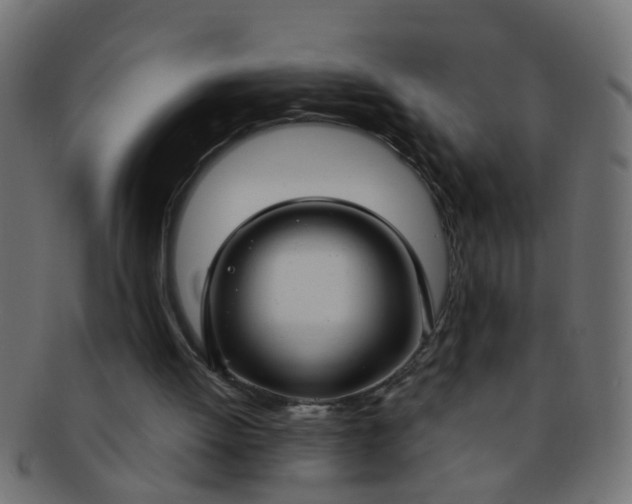 X0000091730052200709071509