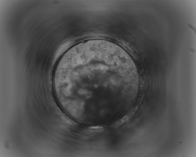 X0000091730053200709071509