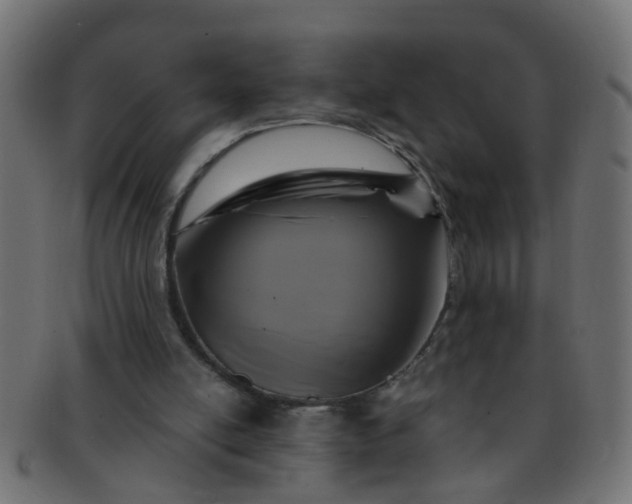 X0000091730054200709071509