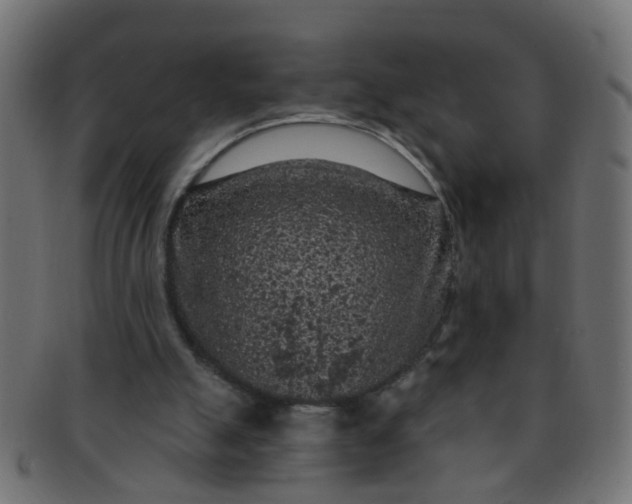 X0000091730055200709071509