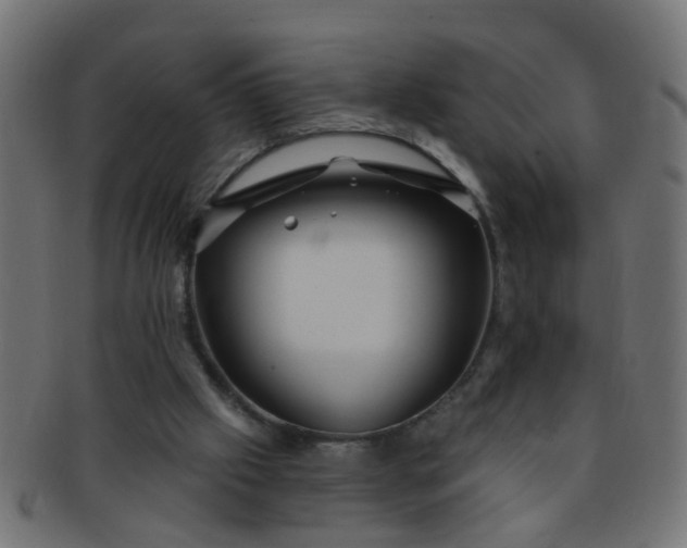 X0000091730057200709071509