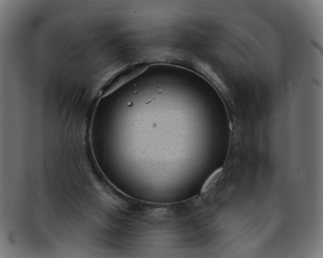 X0000091730058200709071509