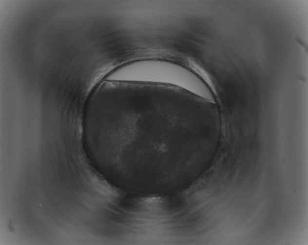 X0000091730059200709071510