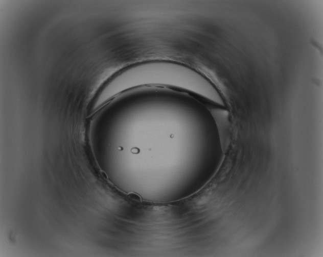 X0000091730060200709071510