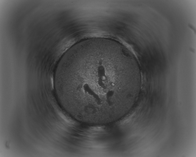 X0000091730061200709071510