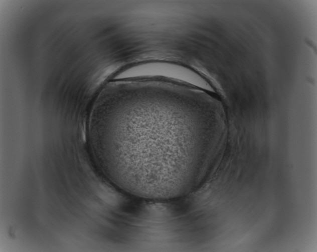 X0000091730062200709071510