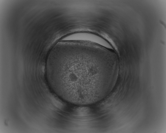 X0000091730063200709071510