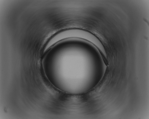 X0000091730064200709071510