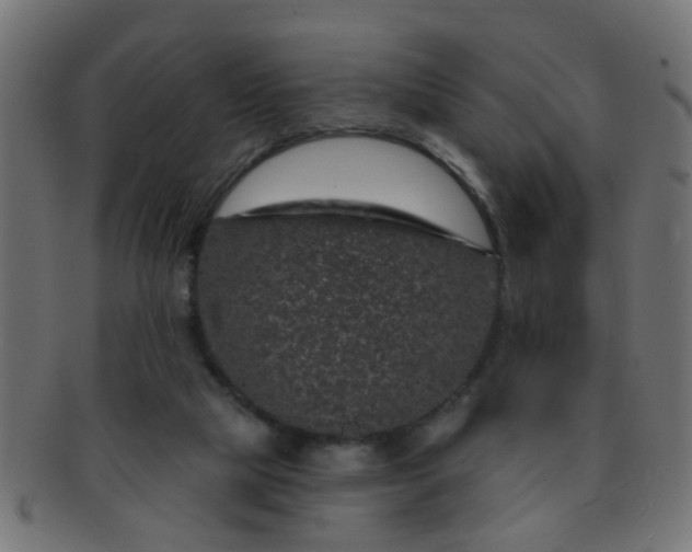 X0000091730065200709071510