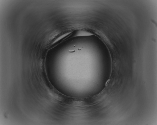 X0000091730066200709071510