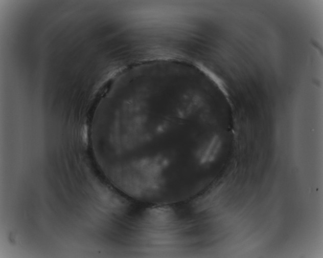 X0000091730067200709071510