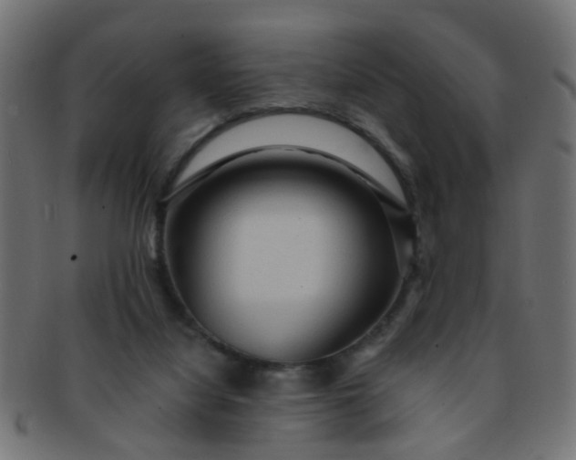 X0000091730068200709071510